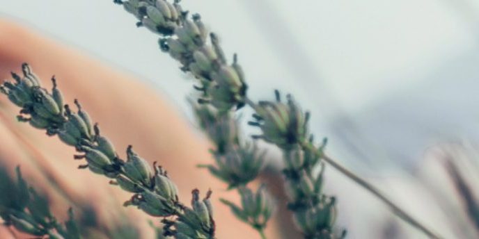 a guide for employers suicide loss 1438×344 website