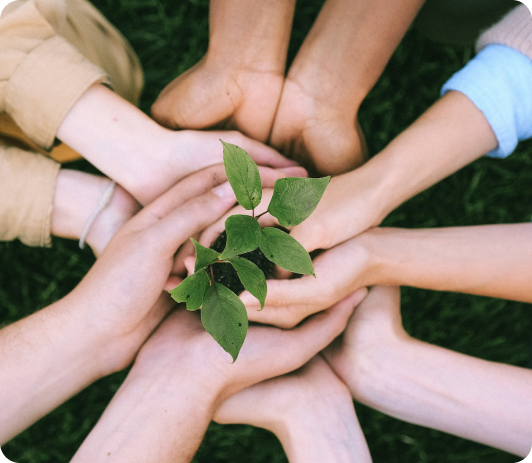 group of hands together hold soil and green leaves