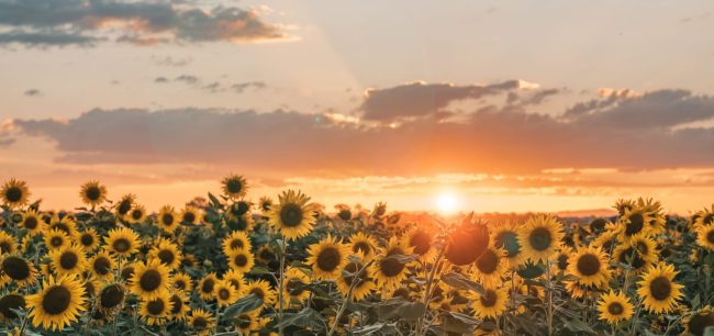 hope stories little pockets of sunshine